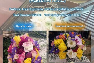 Curs de Aranjamente Florale și Ikebana – Modul Toamnă 2017